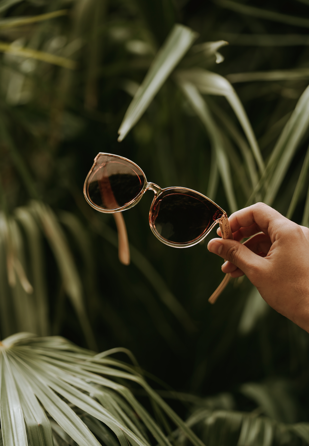 Lentes de bambú: la revolución sustentable que ya está conquistando el mundo